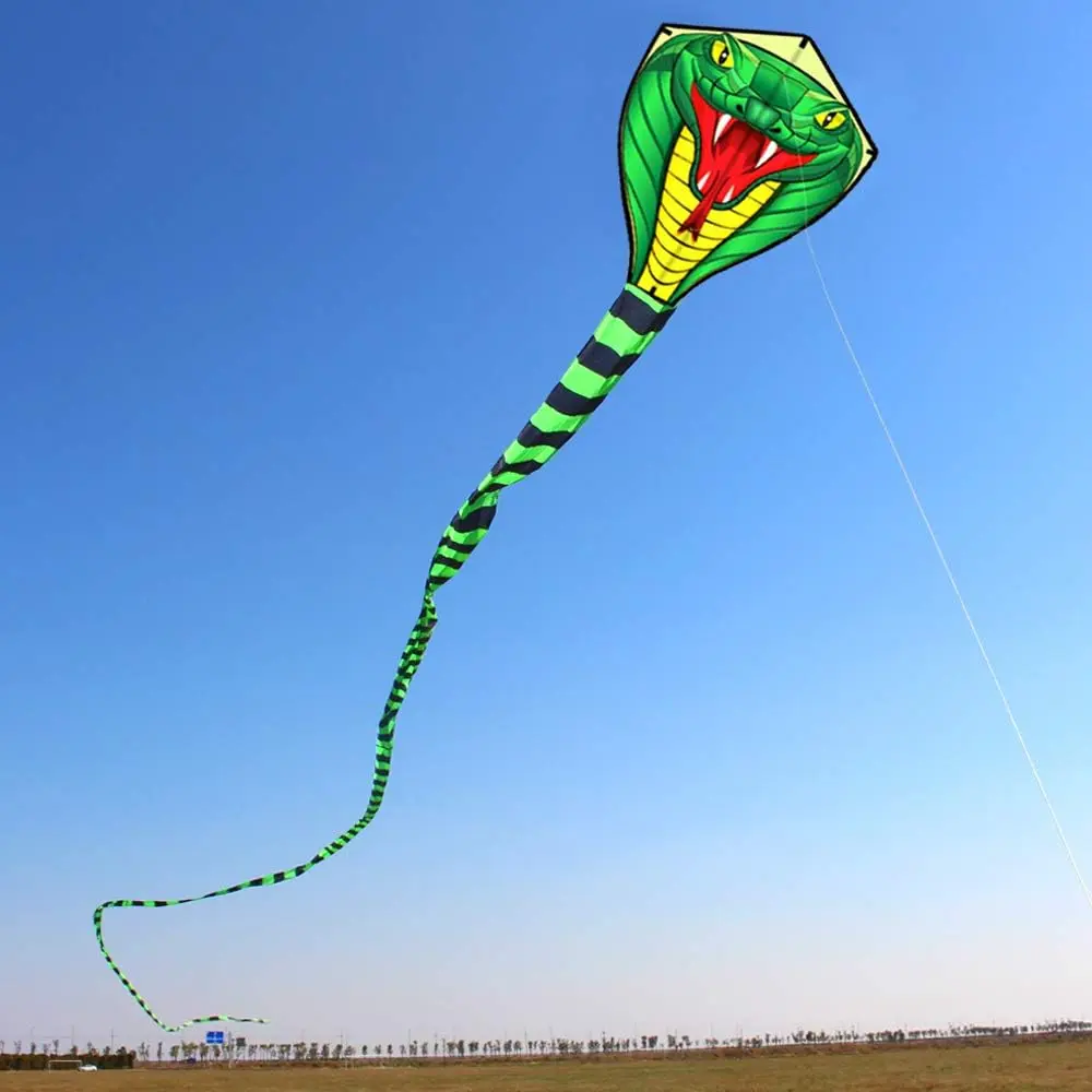 Outdoor Fun Sport Strong Snake With Long Colorful Tail Huge Beginner Snake Kites For Adults Come With String And Handle