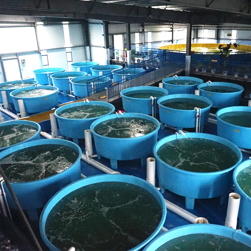 Indoor Ras Fish Tank and Other Aquaculture Equipment for Fish Farm
