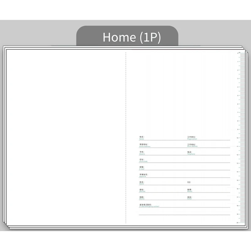 2024 Schedule This Self-Discipline Punch Time Management Daily Plan This Efficiency Manual Calendar Notepad