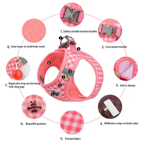 8 best sales bälte för katt - №7