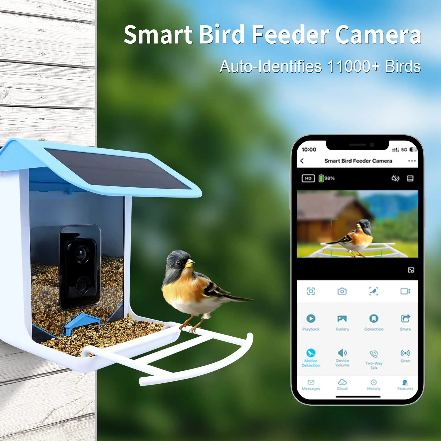 Infrared Light Squirrel-proof Food and Drinker Humming Bird Feeder with Camera Petdom Automatically Take Video 940nm Plastic TT