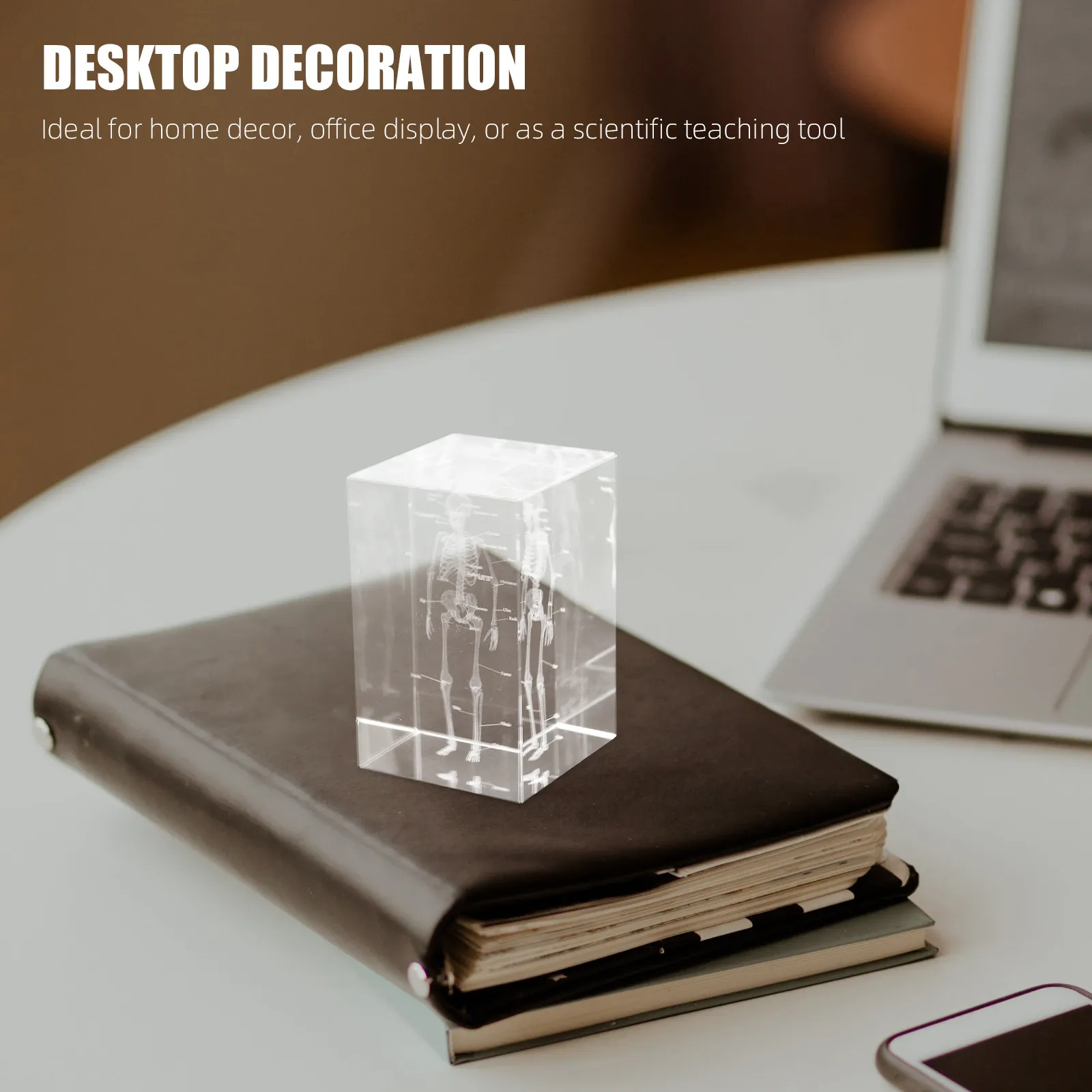 Crystal Cube 3D Human Anatomical Internal Engraving Science Decoration Paperweight for Study Home Office