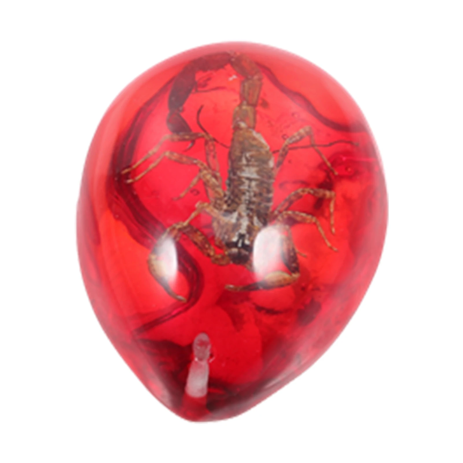

Resin Amber Scorpion Specimen Pendant Lightweight Craft Decorative Jewelry s Educational Tool Creative Design Fade