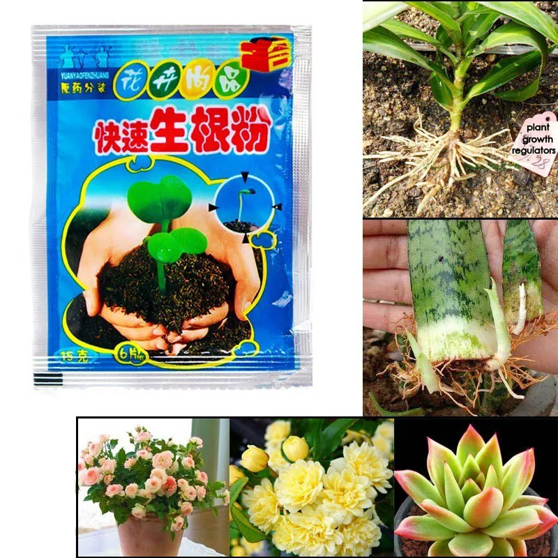 10 Pcs Rooting Powder Agent Safe And Effective Plants Root Supplement For Soil Culture Hydroponics Transplant Garden Supplies