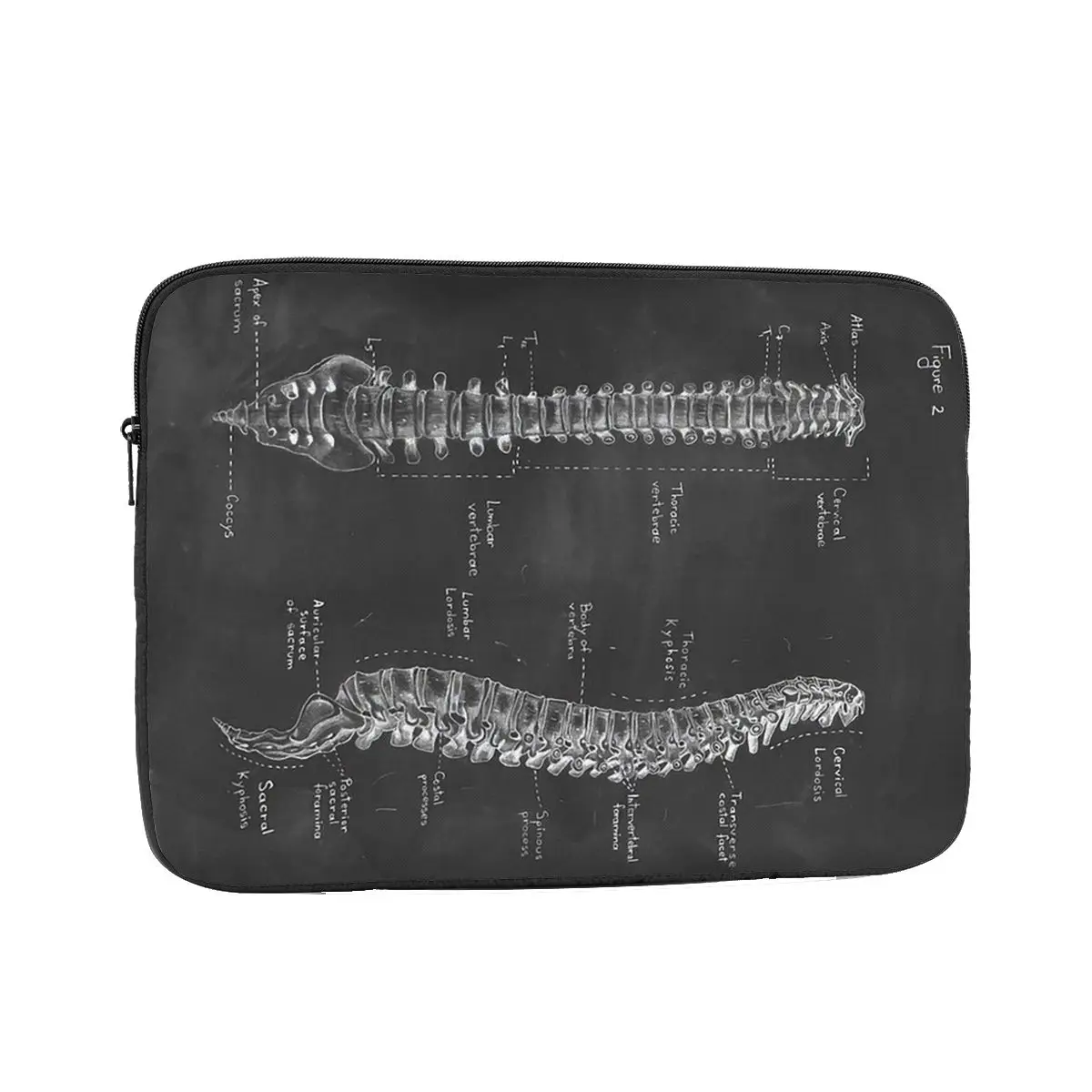 

Spine Anatomy On Chalkboard Black And Whi Laptop Sleeve Cover Bag Notebook Bag Sleeve Tablet Shockproof Case Bag