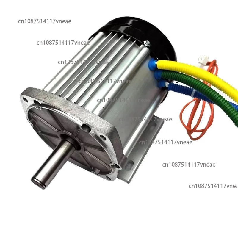 Electric Tricycle High Pressure  60v1500w3000 High Power Permanent Magnet Differential DC Brushless High Speed Motor