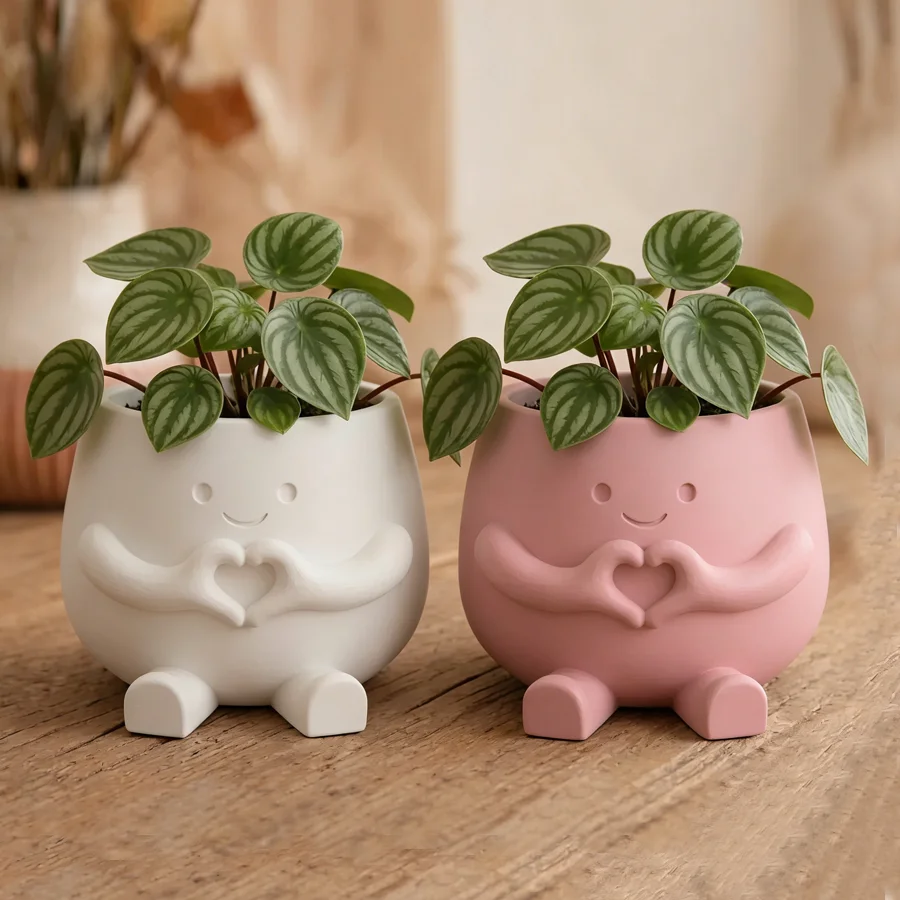 3D Printed Flower Pot for Pennywort & Succulent Plants Lightweight Plastic Planter Modern Home Decor Indoor/Outdoor Suitable