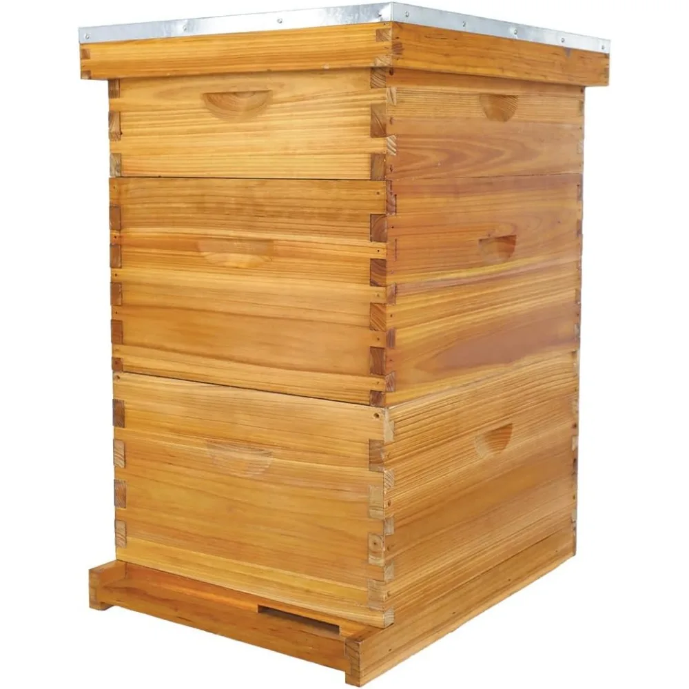 10 Frame Bee Hive, Beeswax Coated Beehive Include 2 Deep Bee Boxes and 1 Medium Bee Box with Beehive Frames and Foundation