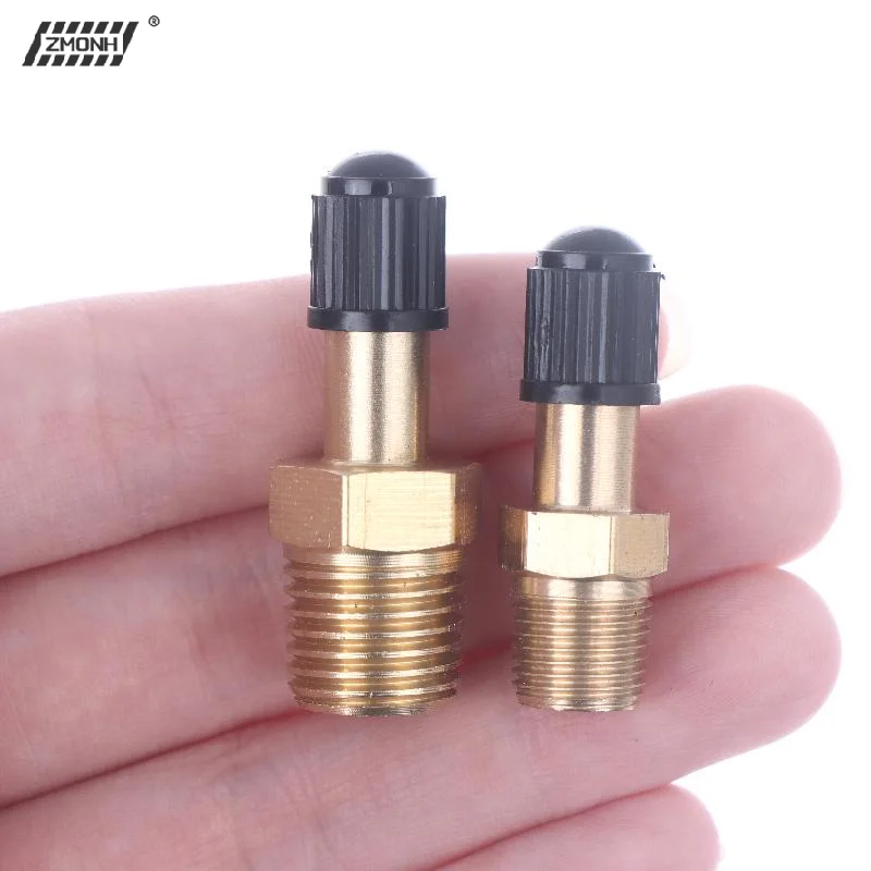 

[H]1Pcs Anti-Corrosion Schrader Valve 1/4 NPT 1/8 NPT M10 Air Compressor Tanks Fill Valve Automobile Tire Valve Core
