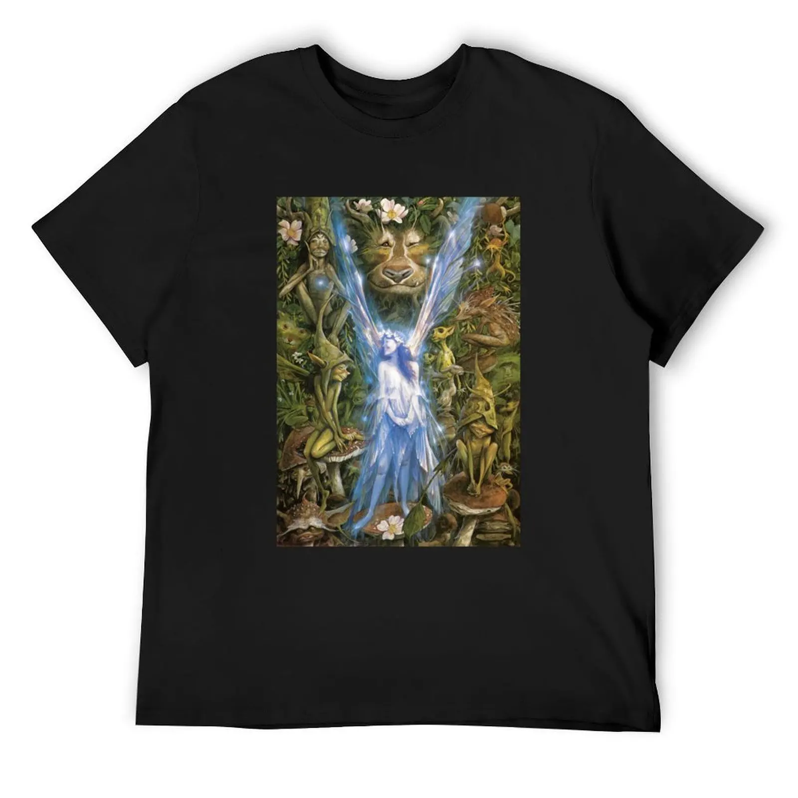 Brian Froud - The Faery Who Was Kissed by the Pixies T-Shirt plus size clothes plus size tops t shirts for men pack