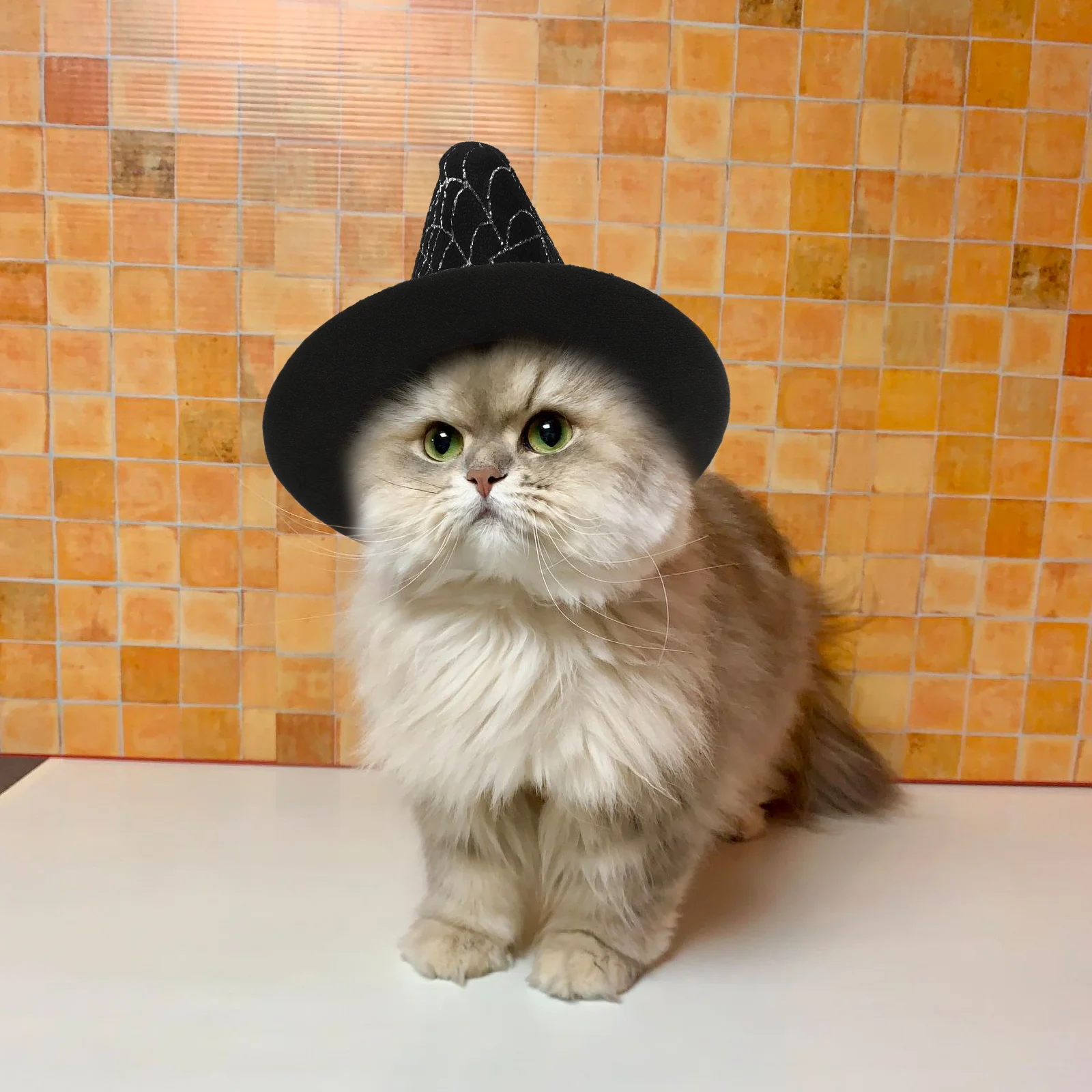 

Halloween Witch Hat Cat Caps Girls Outfits Pet Cosplay Festival Costumes Adorable Lovely Wizard Party Dog