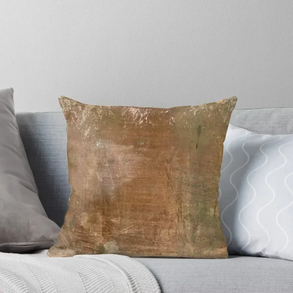 Oxided copper seppia Throw Pillow Pillow Case Cushion Cover For Sofa home decor items pillow