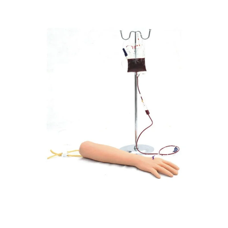 Venipuncture Training Arm Model 1