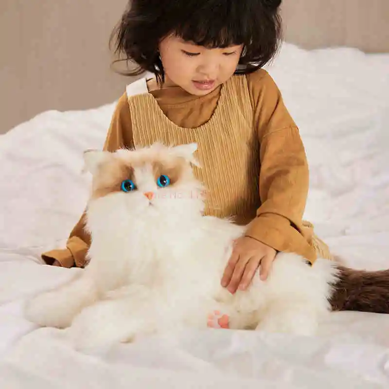 Simulação fofa ragdoll boneca de pelúcia kawaii gato macio animal de pelúcia menina travesseiro de dormir aniversário presente de natal decoração de casa