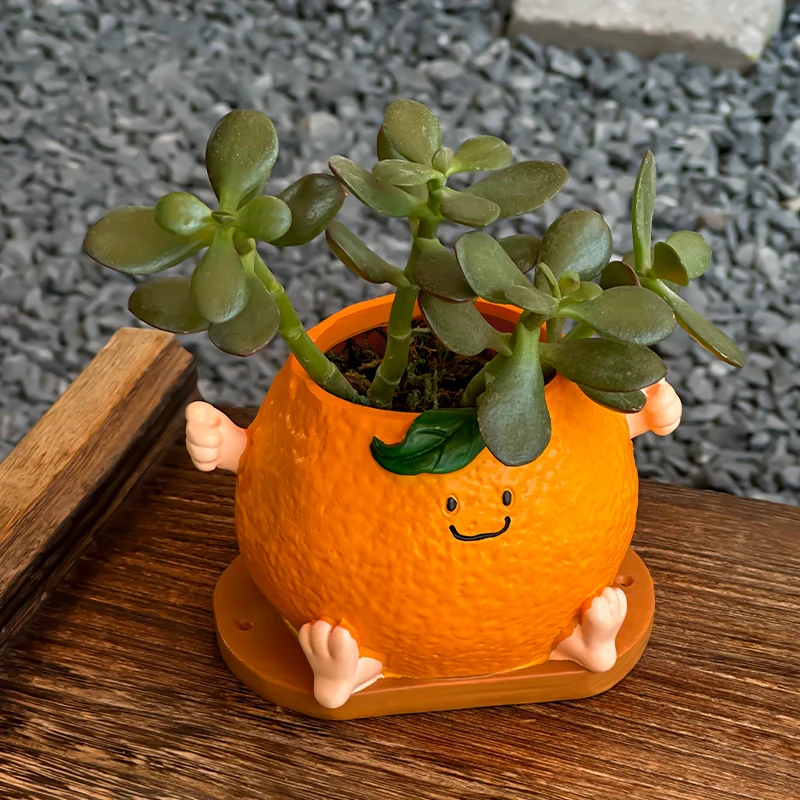 الإبداعية لطيف الوجه المبتسم البرتقالي الجلوس الموقف زهور عصارية في الهواء الطلق حديقة فناء زهرة بوعاء الديكور