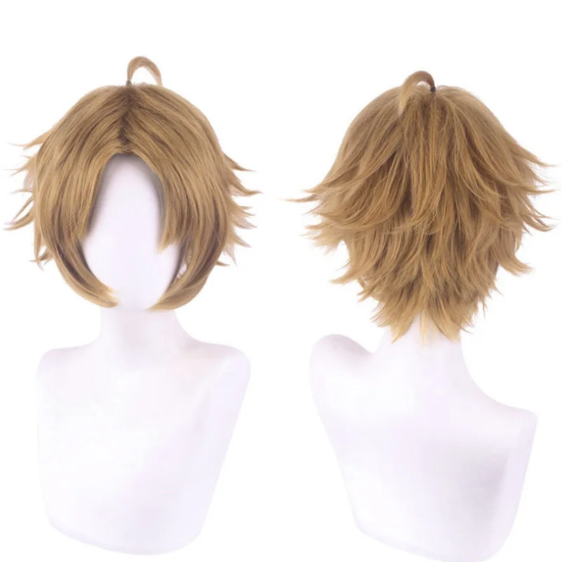 Wig Short Hair For Rudyus Greyrat From 