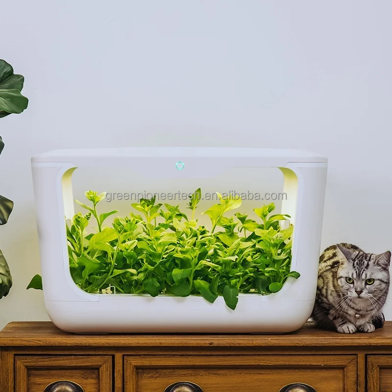 Indoor Hydroponics Grow Box with Pump Indoor Hydroponic Planting Watering System Small Home Farm