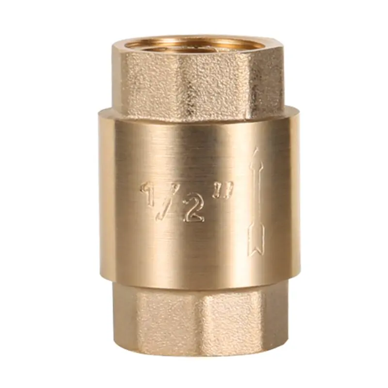 Brass Vertical Check Valve Spring Thread, Internal Thread, Water Meter Spring, 4 Points, 6 Points, 1 Inch