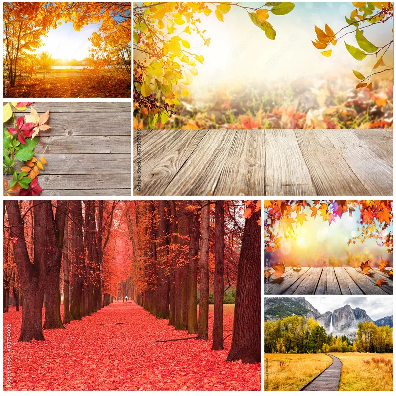 

ZHISUXI Natural Scenery Photography Background Fall Leaves Forest Landscape Travel Photo Backdrops Studio Props QQTT-03