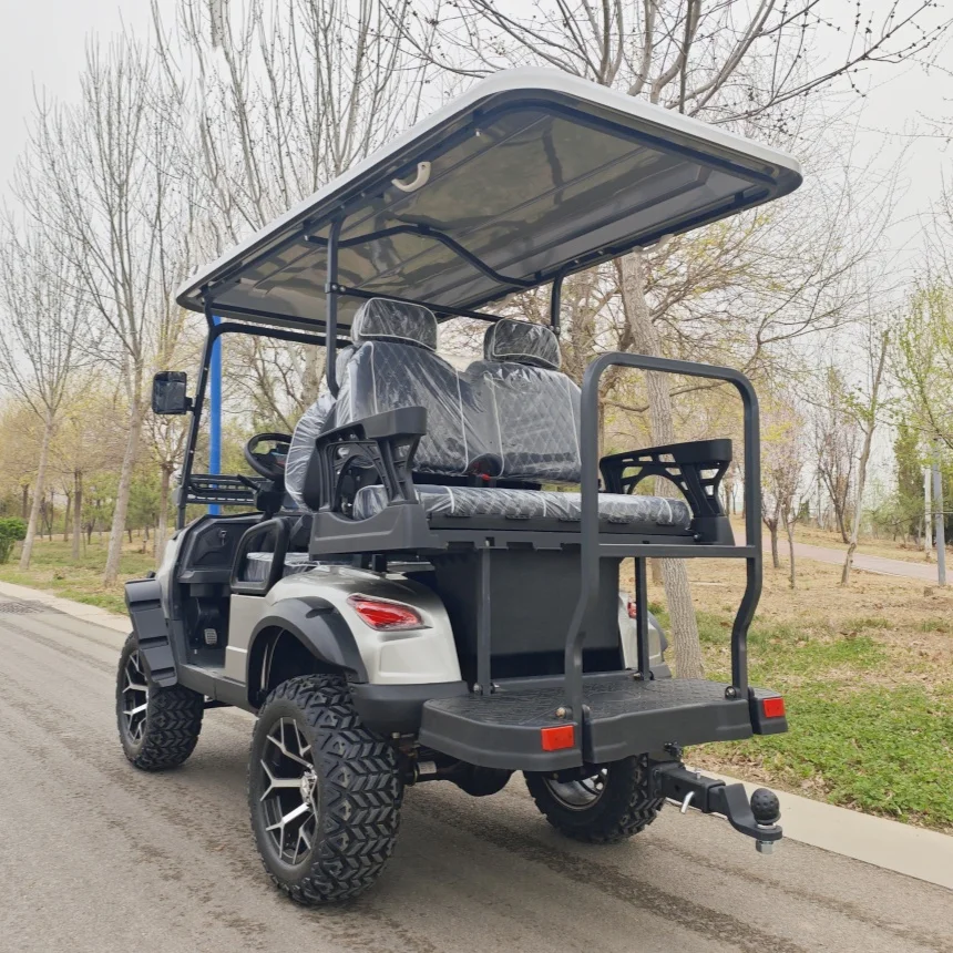 

Luxury Street Legal Golf Cart Off Road Electric Golf Cart Chair Black Leather With Headrest + 2-Point Retractable Safety Harness