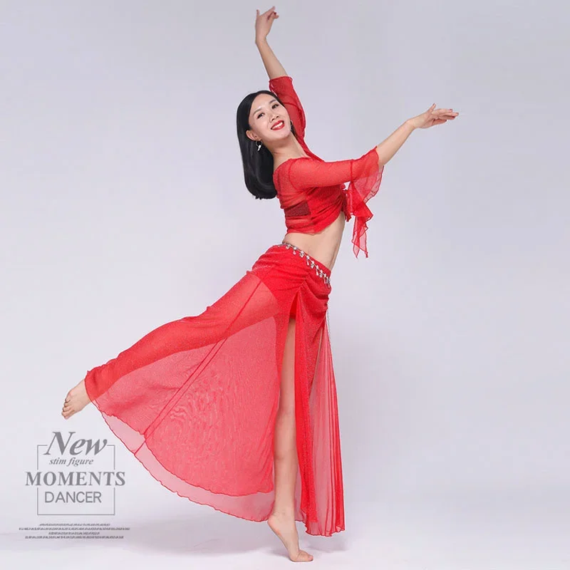 Belly Dance Skirt Practice Clothes Long Skirt Suit Luxury Modern Dance Performance Carnaval Costumes Sexy Woman 2023 Newest