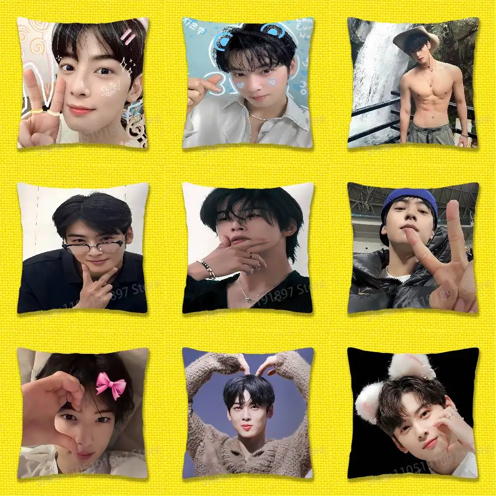 

C-Cha Eun woo EunWoo Throw Pillow Case For 45x45cm 40x40cm 55x55cm 50x50cm 30x30cm Square Car Pillowcase Shell