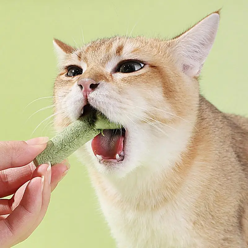 

Cat Grass Snacks 8 Sticks Cat Teething Sticks Freeze-Dried Cat Snack Time Treats Flavored Teeth Cleaning Treats For Keeping Cat