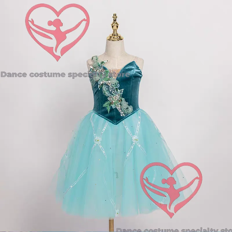 

Forest Secret Velvet Turquoise Embroidered Ballet Dress Custom Performance Dress
