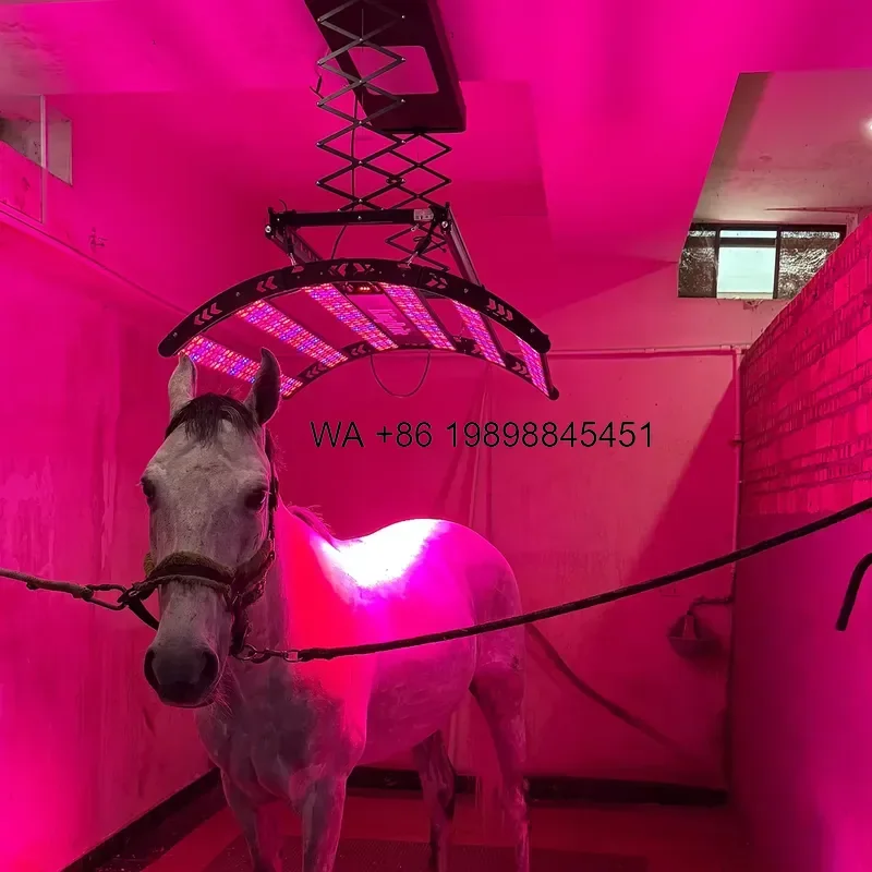 Wmwmnu for Remote Control 700W Grow Version Equine Solarium Red Light Infrared for Horse Full Body Horse