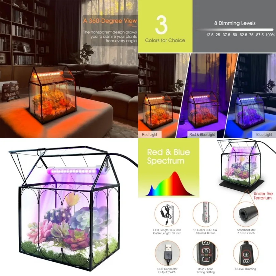 Plant Terrarium Kit with Grow Light, Small Glass Terrarium Jar with Absorbent Mat and Lid for Venus Fly Trap Succulent Live Air