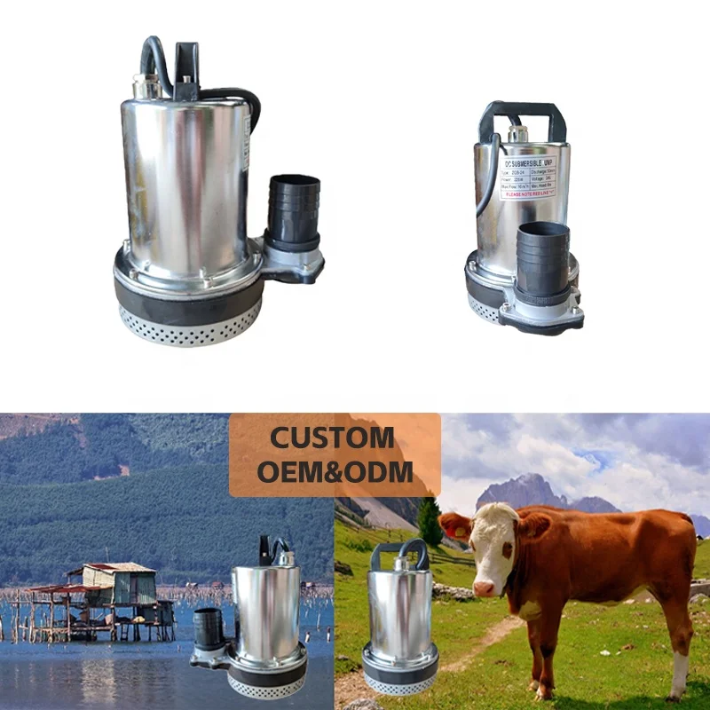ZQB Mini Solar Power DC Submersible Water Pump 12v 24v 2inch For Agriculture And Marine Low Pressure OEM Customizable