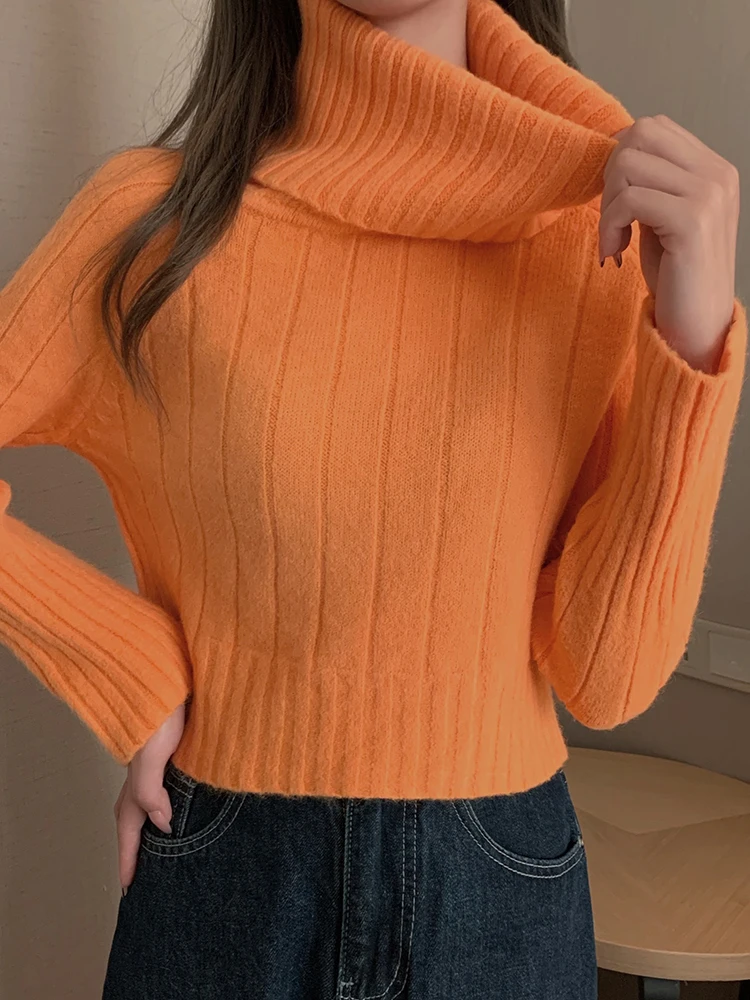 Autumn Winter Turtleneck Sweater Women Pullovers Casual Loose Solid Thicken Warm Sueter Woman Ribbed Sweaters Knitwear Tops