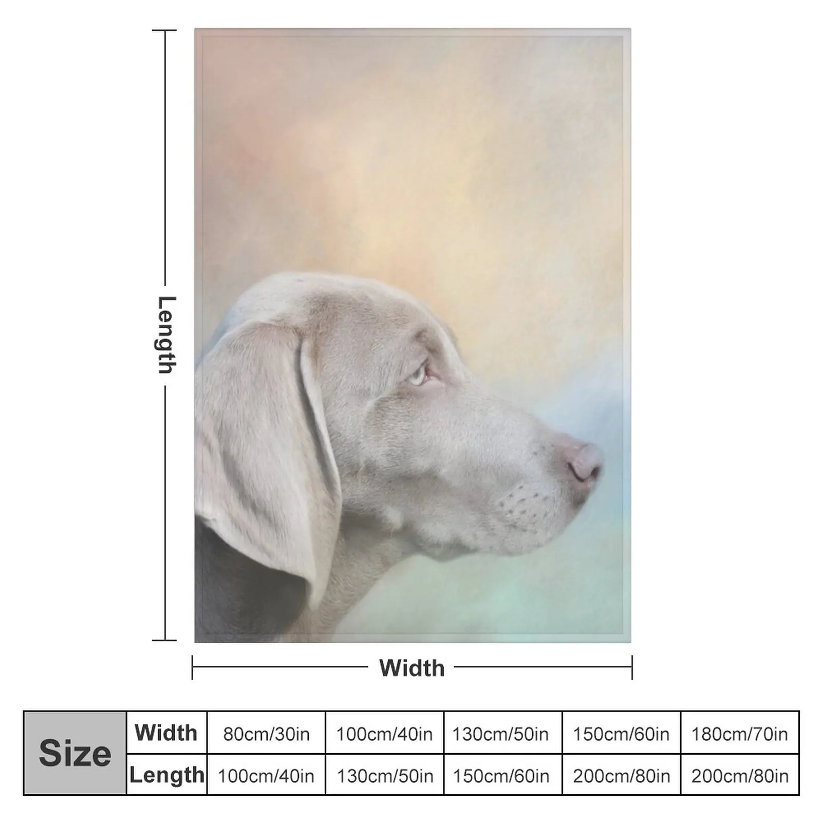 Beautiful Weimaraner Dog Throw Blanket For Baby Blankets For Sofas wednesday Blankets