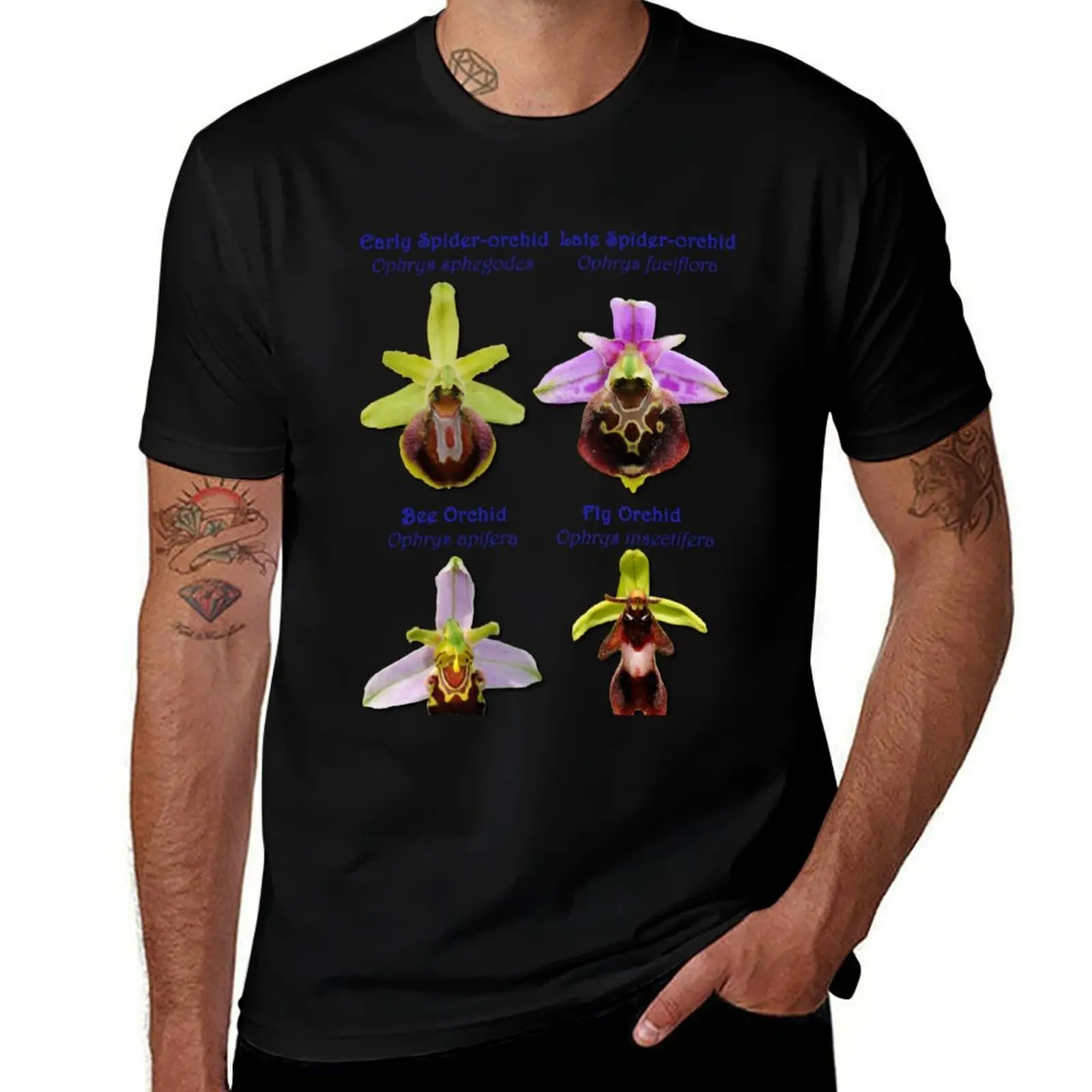 The Four British Ophrys Orchid Flowers T-Shirt Classic Basic Casual T-Shirt