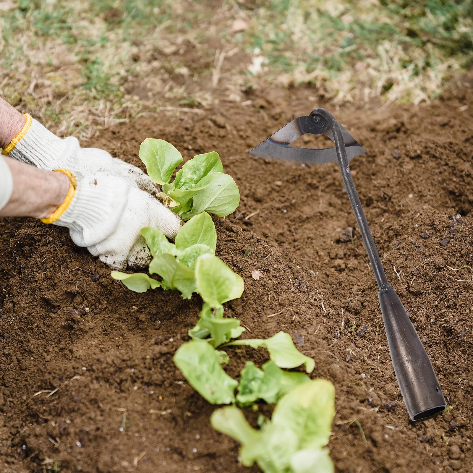مجرفة حديقة من الفولاذ القوي، براعة دقيقة، مستلزمات البستنة، أداة إزالة الأعشاب الضارة، مجرفة زراعة خارجية، استخدام متعدد الأغراض