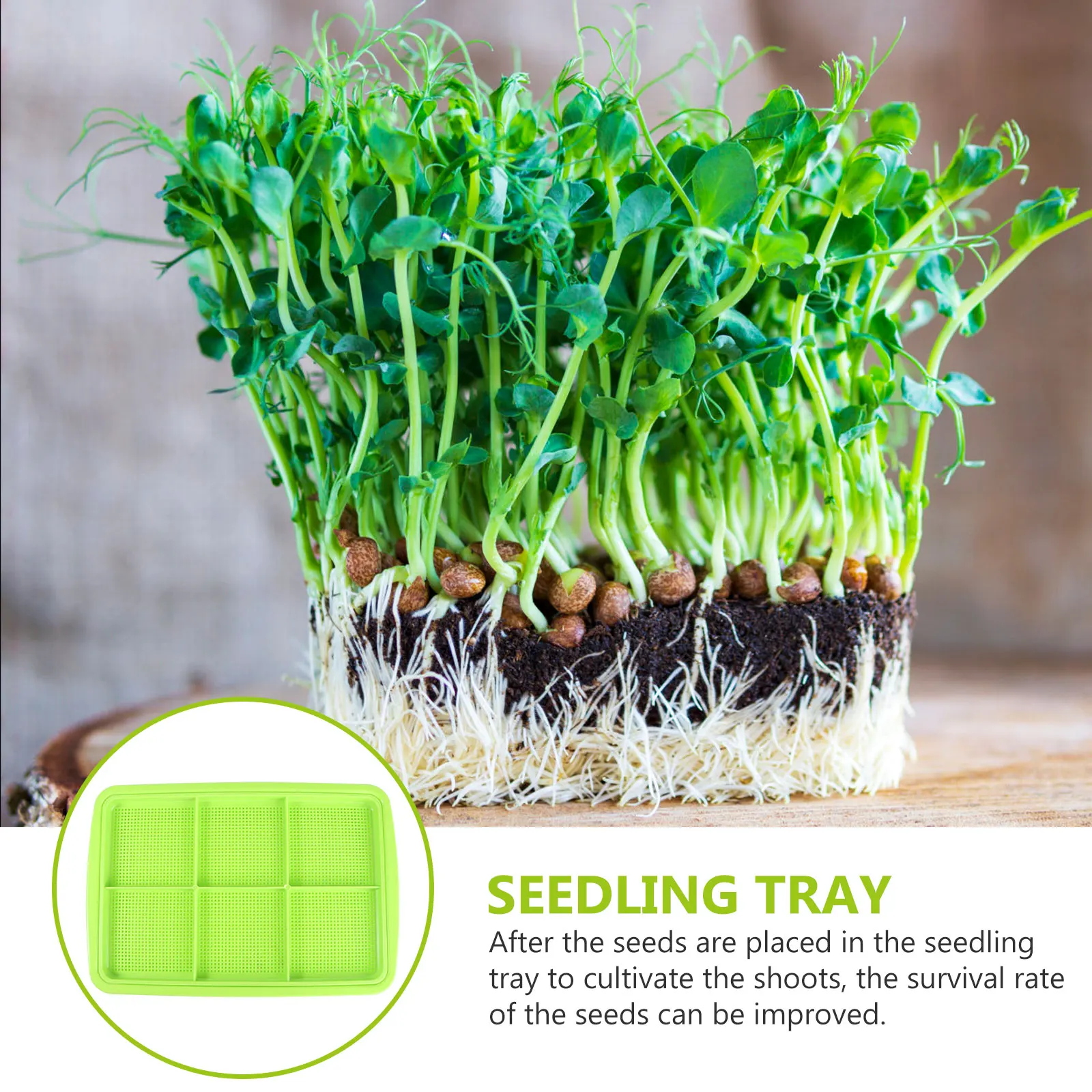 

Seedling Tray for Multiple Seeds Growing BPA Free PP Vegetable Herb Growing Trays Germination Device Storage Trays