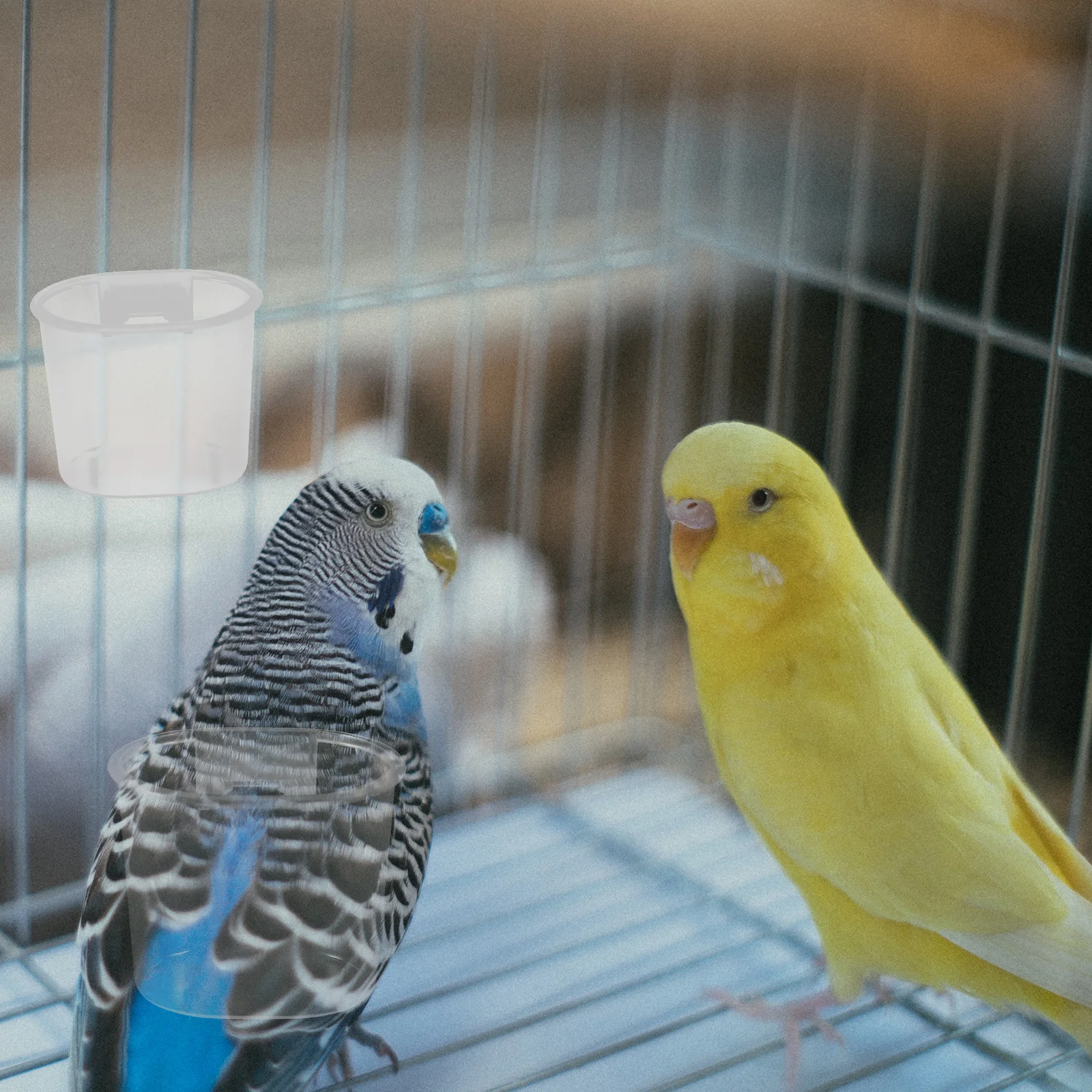 

10 Pcs Parrot Feeder Bird Food Bowl Water Cage Accessories Easy Clean Durable Plastic Indoor Pet Storage Container