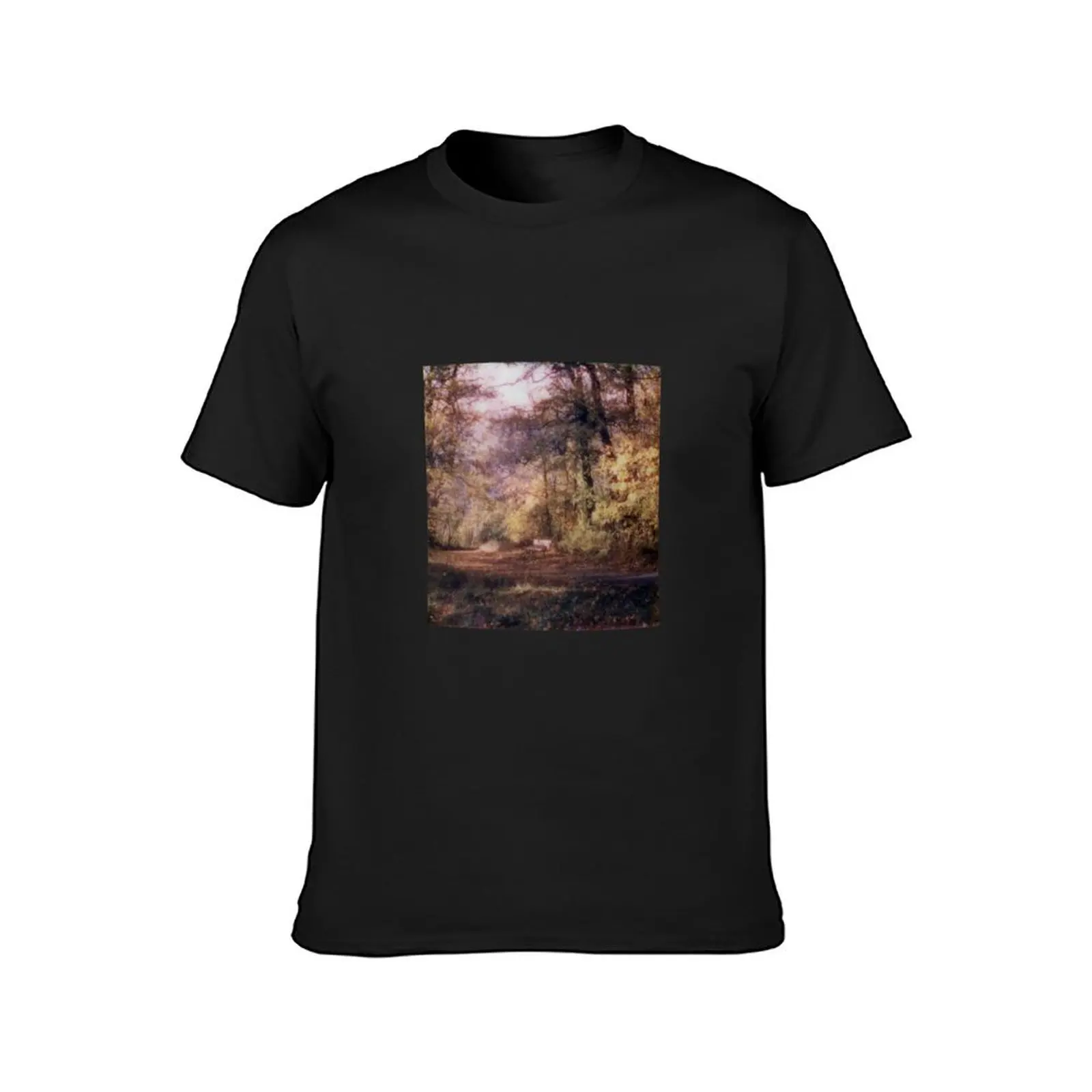 Fall Bench - Vintage Instant Photo T-Shirt for a boy oversized sweat mens cotton t shirts