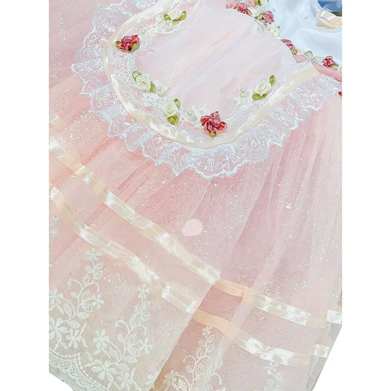 

2022 ballet adulto black ballerina professional ballet tutu kids girls women adult ballet costume Kid lake swan dress