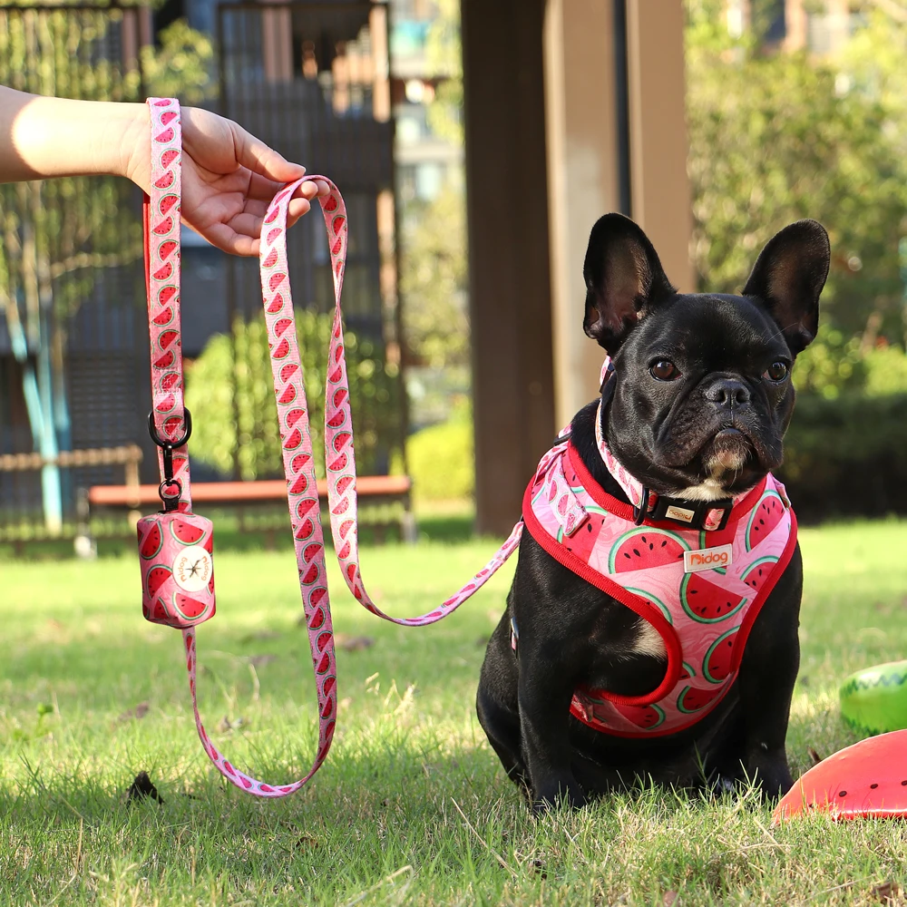 Mesh Nylon Dog Collar Harness Leash Garbage Bag Set Printed Pet Harnesses Vest Collars With Waste Poop Bag For Small Medium Dogs