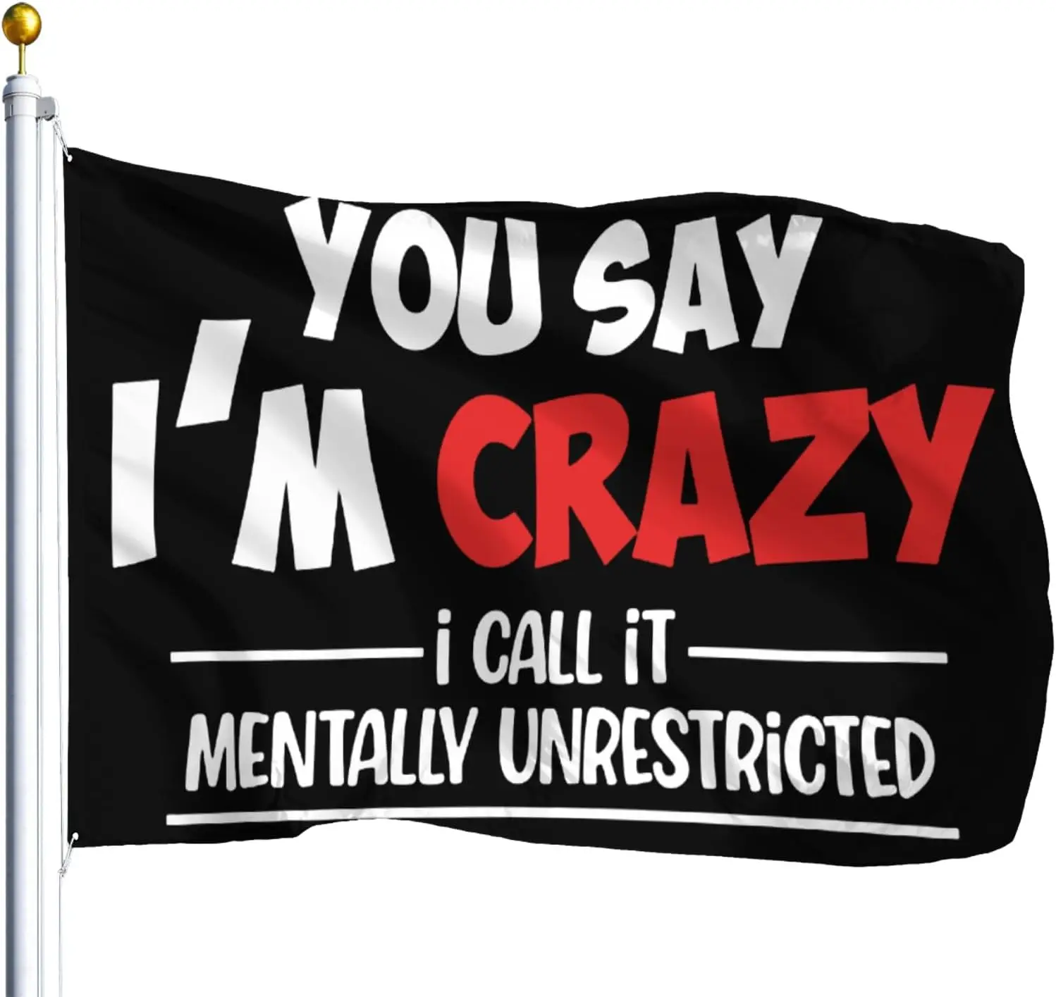 Flagicts 100% Polyester You Say I’m Crazy I Call It Mentally Unrestricted Sarcastic Flags