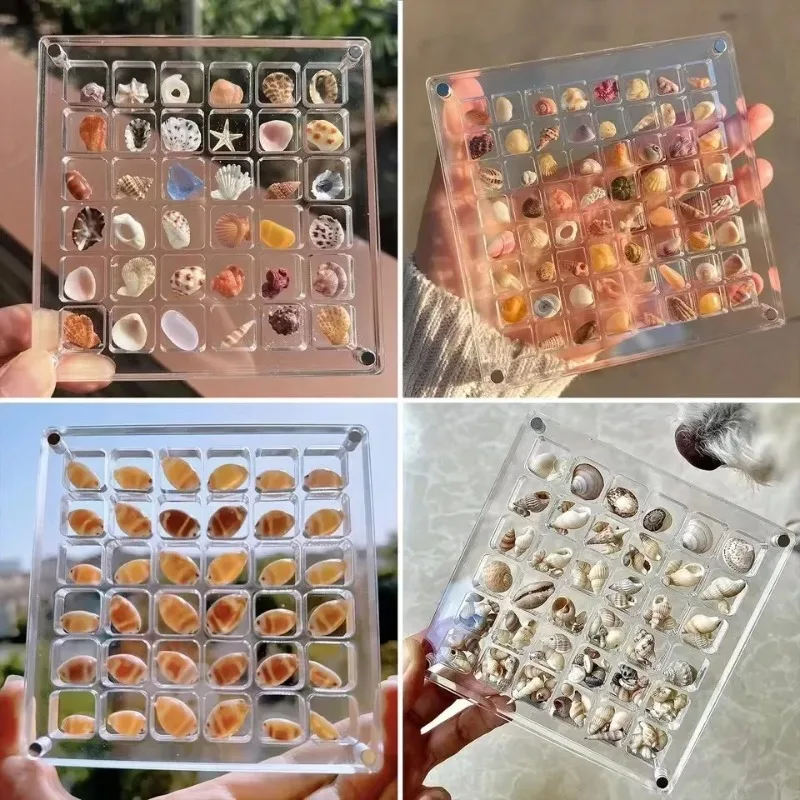 Mineral Stone Specimen Storage Box 36 Check Shell and Mini Beach Stones Place Acrylic Storage Box Jewelry Durable DISPLAY BOX