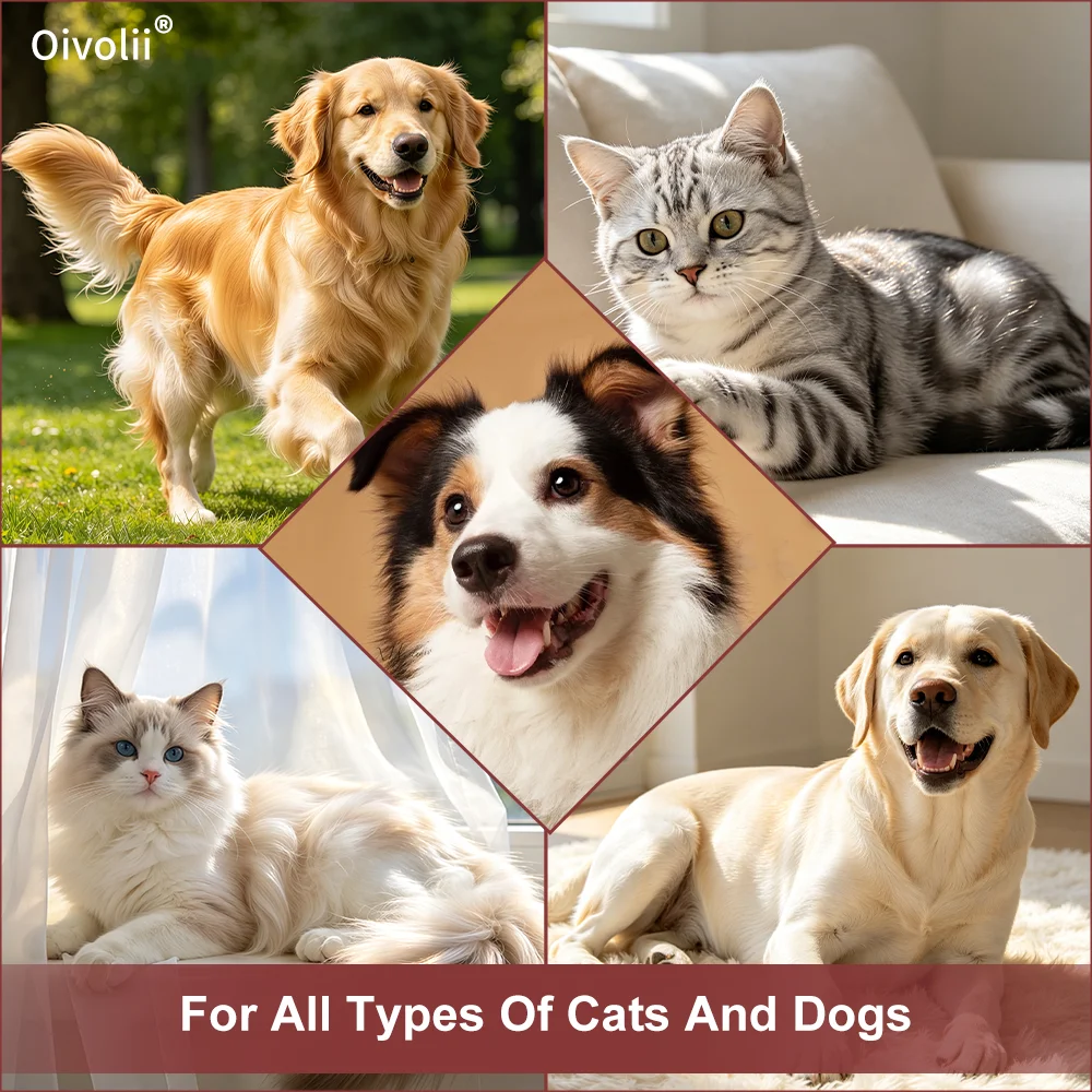 Deshedding Shampoo for Dogs Cats Undercoat Control Reduce Shedding Coconut Argan Oil Keratin Strengthens Coat Panthenol Hydrates view 6