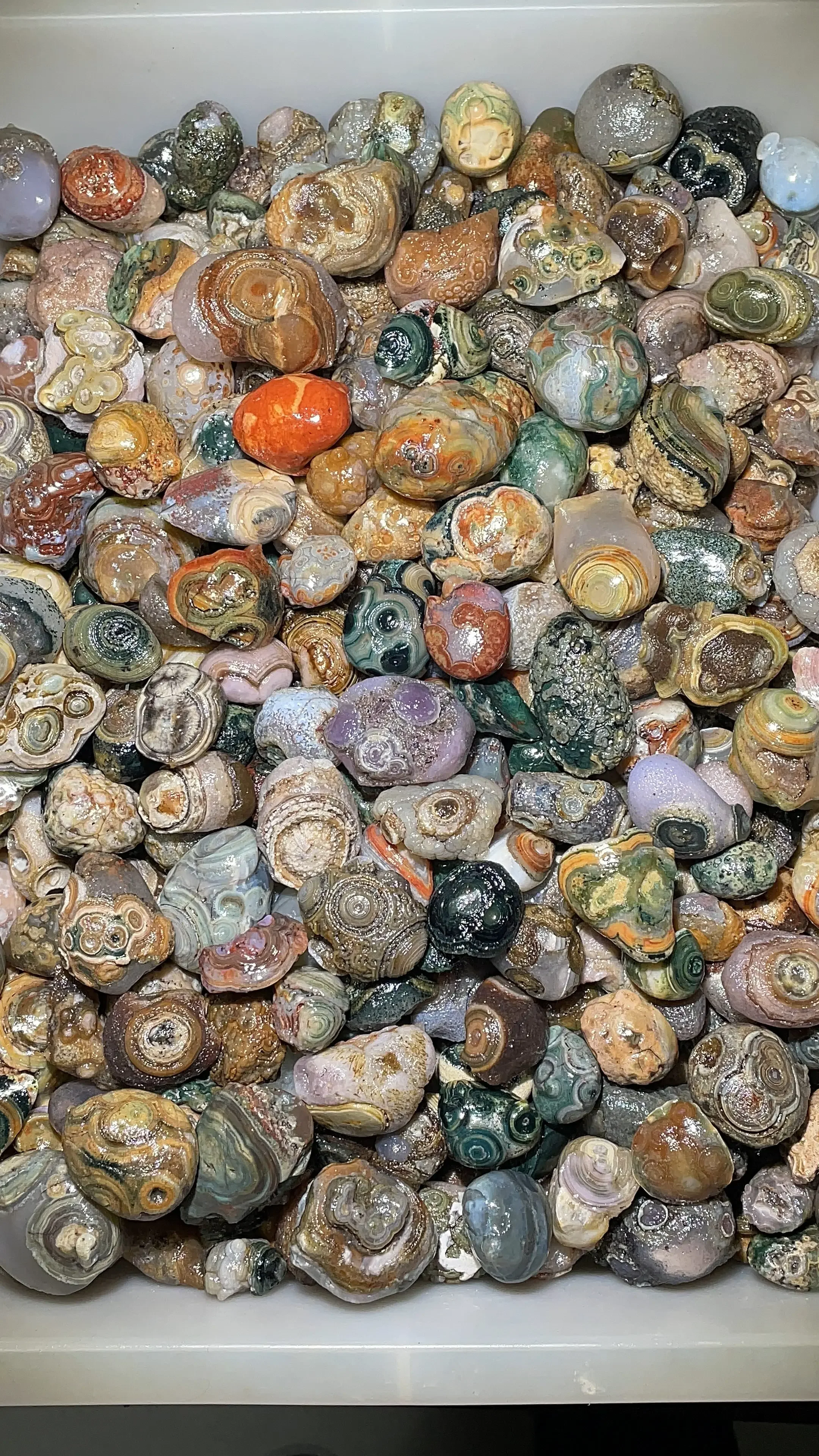 5kg/lot wholesale beautiful precious energy stones high-quality vibrant colorful Gobi agate rough stones natural eye pattern