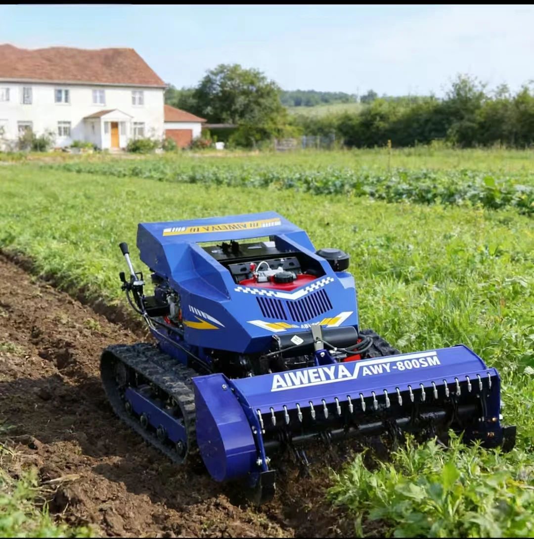 Customized CE EPA Diesel Engine Flail Mower All Terrain Grass Cutting Machine Agriculture Rubber Tracks Remote Control Robot