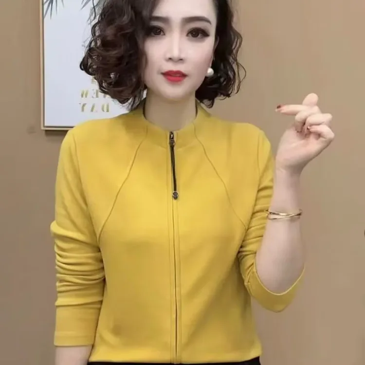 2025 New Product Fashion Foreign Versatile Temperament Zipper Cardigan Stand-up Collar Thin Fleece Sweater Slim-fitting Thin Top
