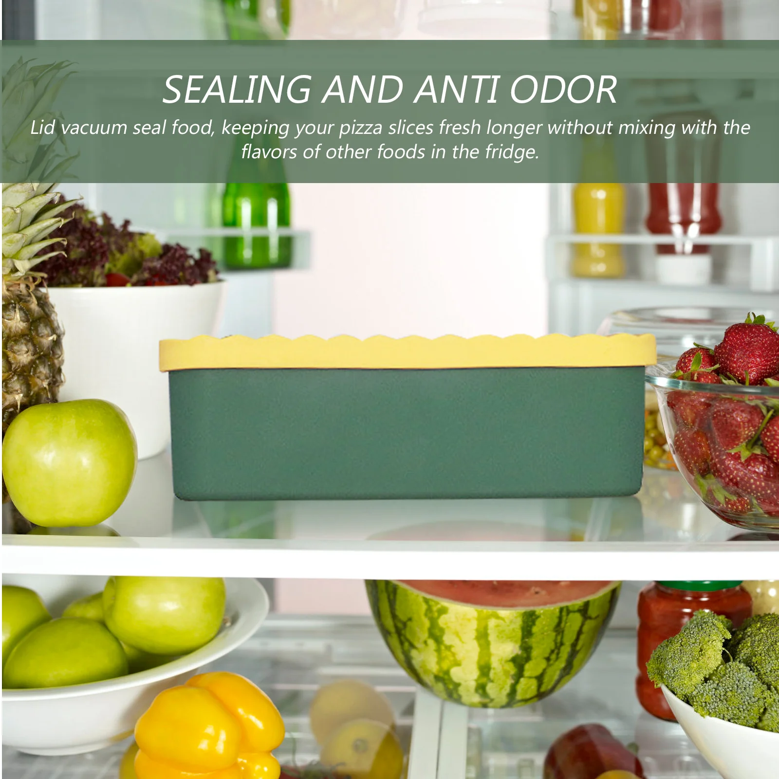 

Portable Pizza Storage Container Leftover Holder Airtight Expandable Food Grade Microwave Safe Dishwasher Refrigerator Travel