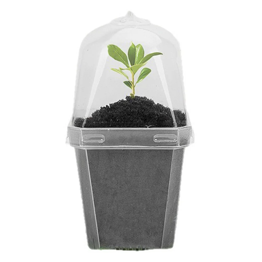Succulent Pot Plant Nursery Pots Urban Gardening As Shown Plant Pot Efficient Drainage Airflow Vents Robust Construction
