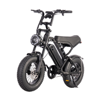 V20 Mini 250W 48V 16 Fat Tire Electric Hybrid Bike Fashion Off Road Ebike V20 Mini Lithium Battery Fatbike