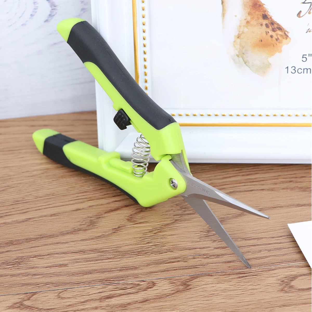 

2 Pcs Gardening Pruning Shears Steel Secateurs Hand Pruner with Spring for Grape Flower Tree Branch Cutting